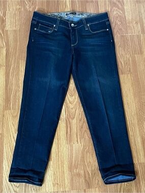 PAIGE Roxbury Crop Skinny Size 28 Y2K